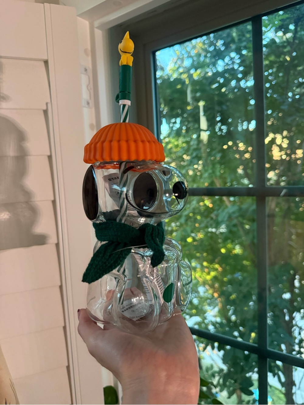 Starbucks Clear Peanuts Snoopy Glass Cup with Orange Hat and Green Scarf